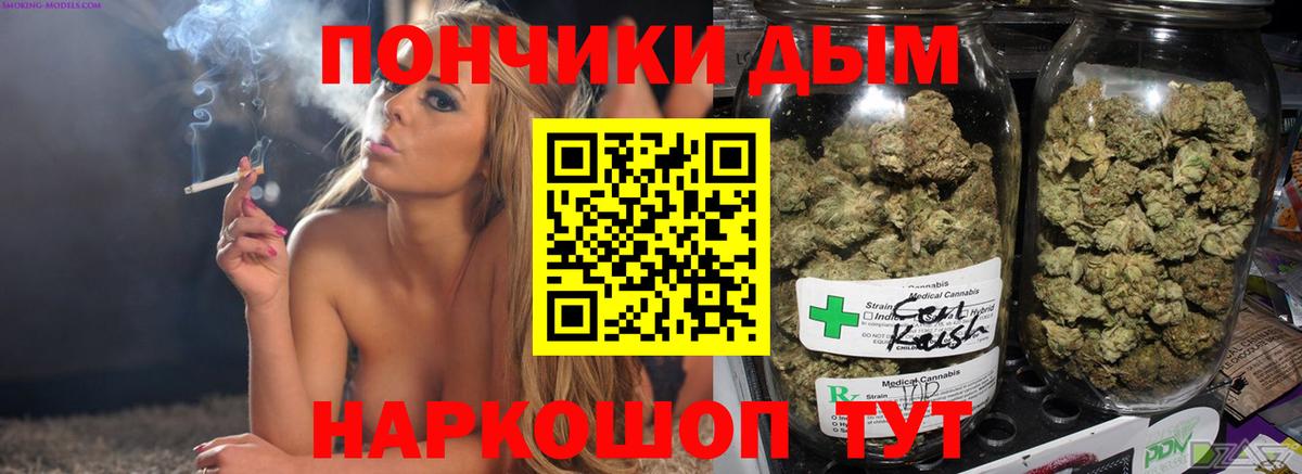 Конопля сатива Саратов
